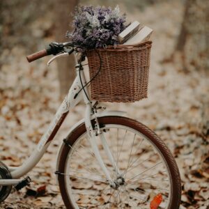 On road Bike wish Surprise