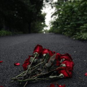 Roadside Mystery Surprise