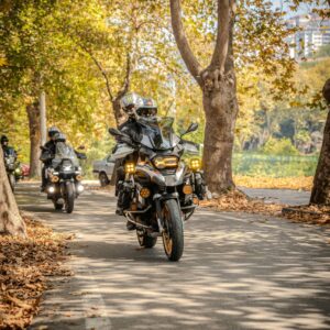 On Bike celebration Surprise